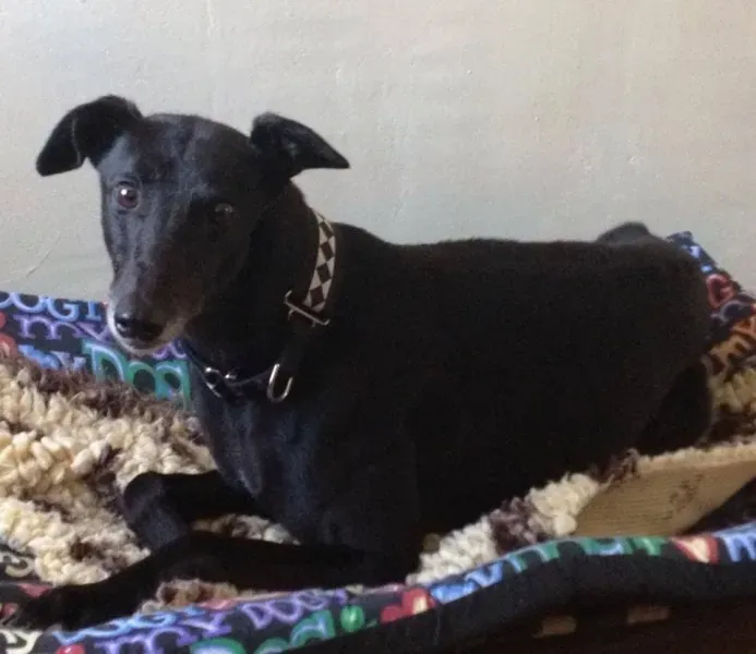 10606522 854937464523954 3218211133040146986 n