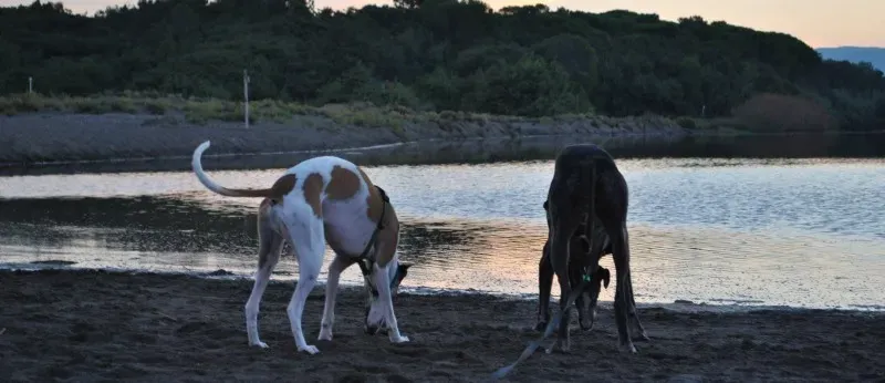 10608199 754100151322888 4521244106309708662 o