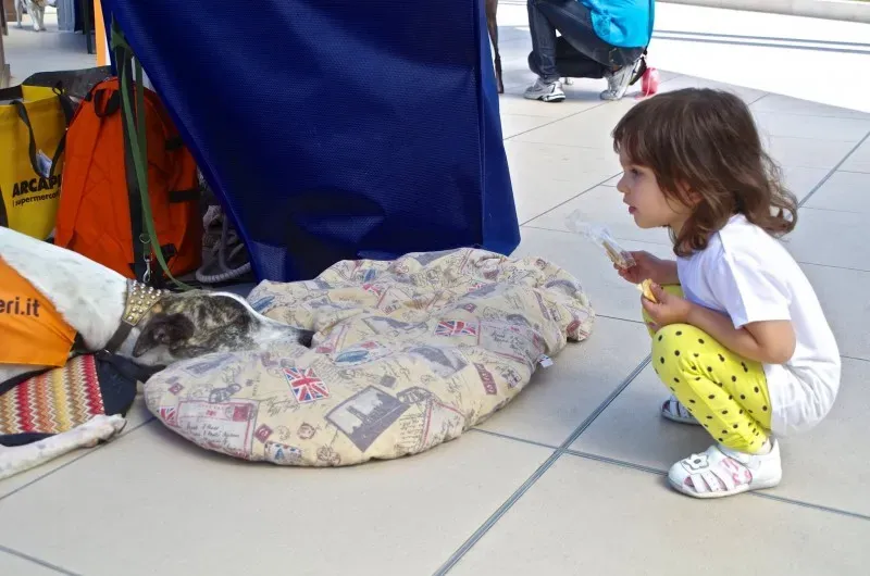 10608420 10202939887737488 3762284707142171877 o