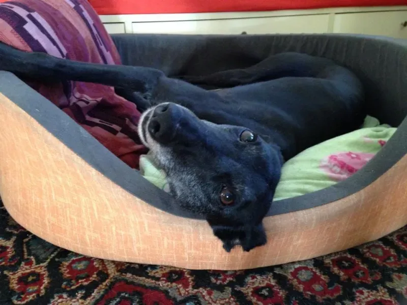 10609493 861732540511468 5459357863105003915 n