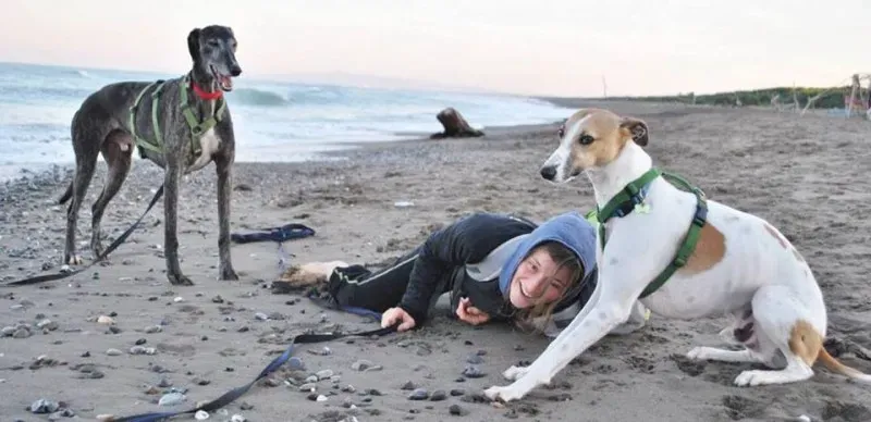 10609647 864880256929164 4006562508610480436 n