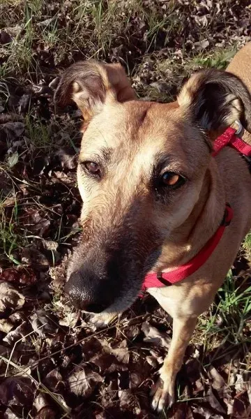 10610705 1028558637161420 3906248232852752245 n