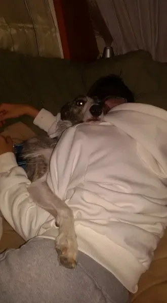 10612717 1994435347447719 4228194958651965864 n