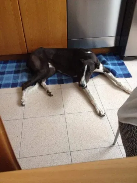 10612959 451003818402896 4862715117353562888 n