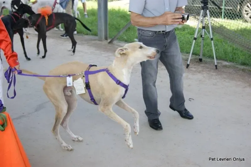 10612989 697612713655920 461104578716718542 n