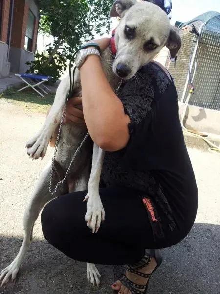 10613000 10203781273524734 9086244659291483822 n