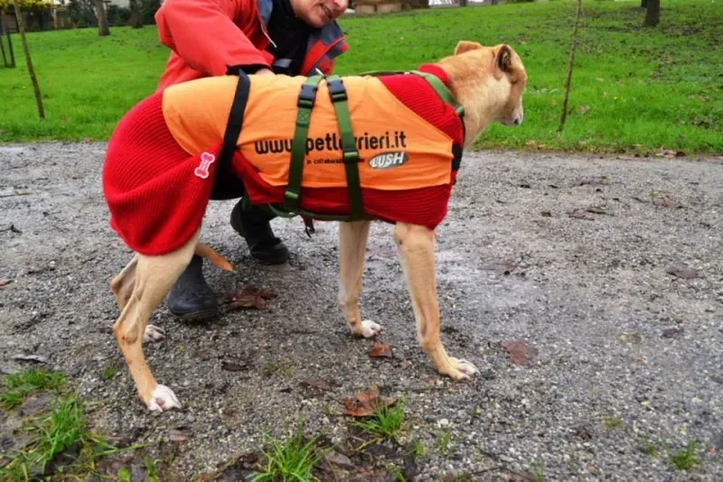 10613083 737244576359400 7221845943928942039 n