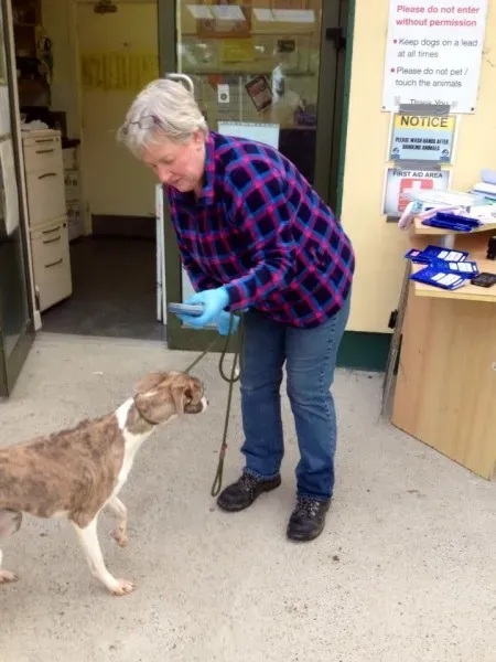 10613104 1602608369967144 183289428713800300 n