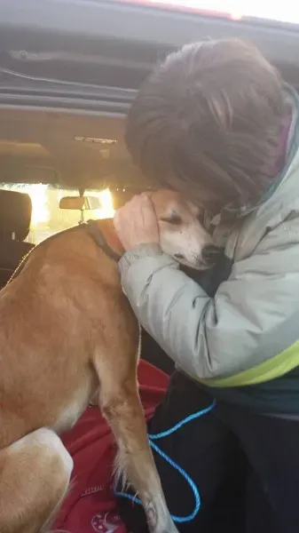 10615455 714481921934008 7501294257942626371 n