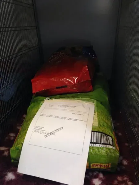 10617481 855938331090889 2021056721 n