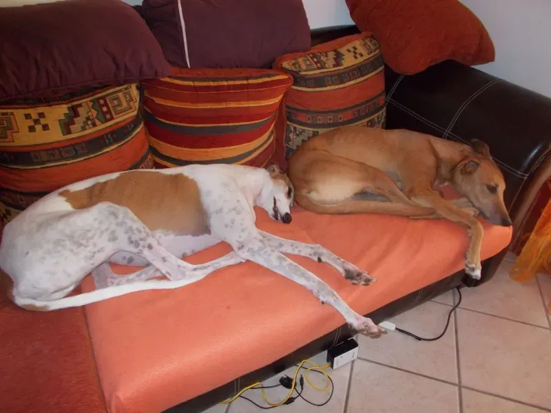 10620013 10202116160425755 7855962976583967596 o