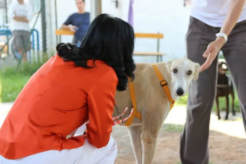 10620712 697357180348140 590845830215275185 n