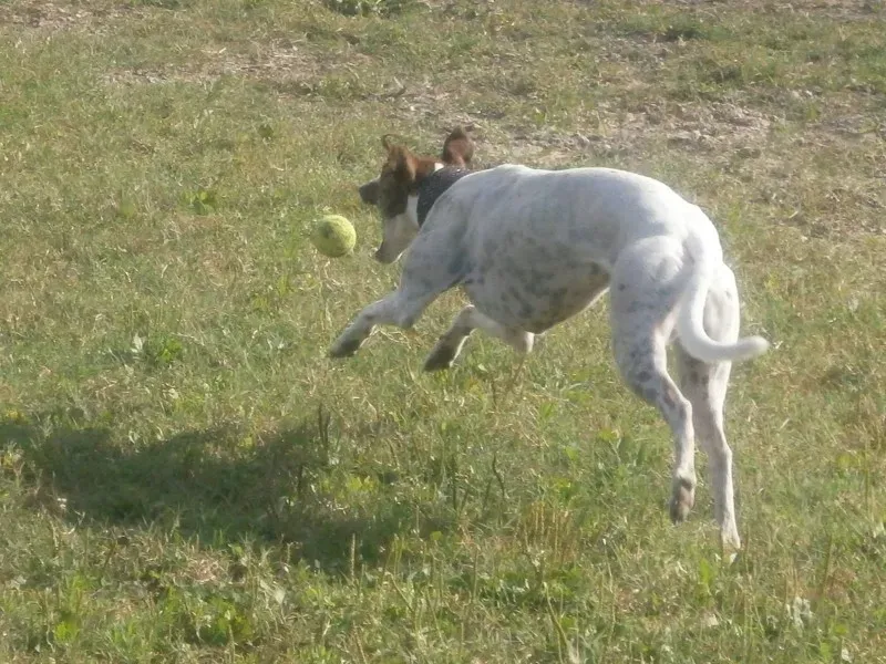 10623979 277269892467800 672568504204198791 o