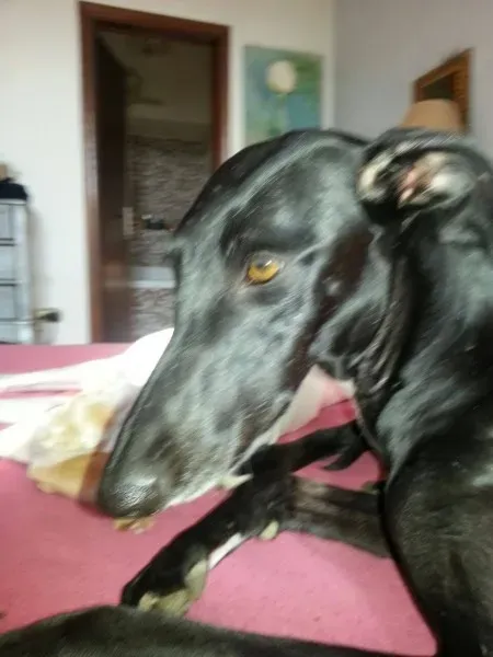 10623986 10205146203008477 7120045504359589325 o