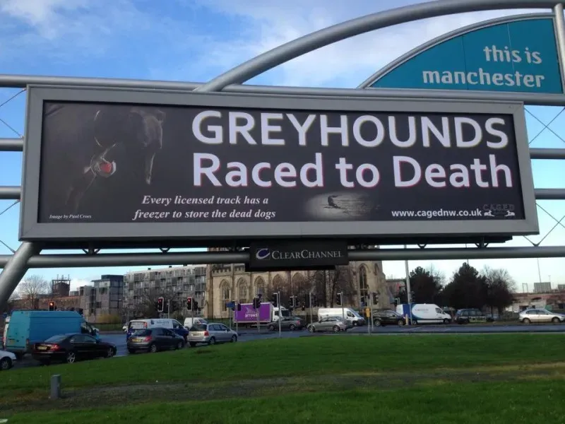 10624748 860561660655314 332987415085677292 n