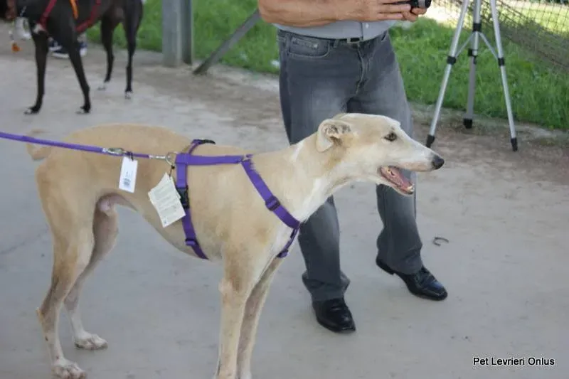 10624971 697612160322642 7792221191757306011 n