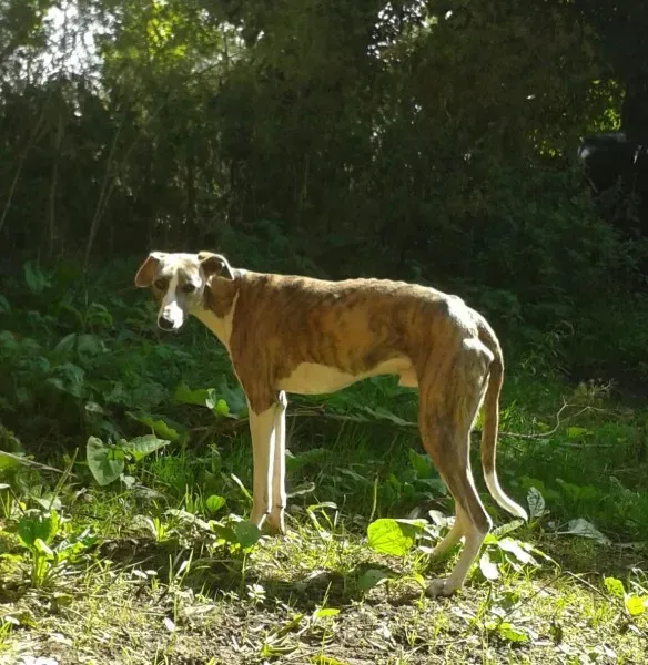 10626301 10152389221953031 648874128139567141 o