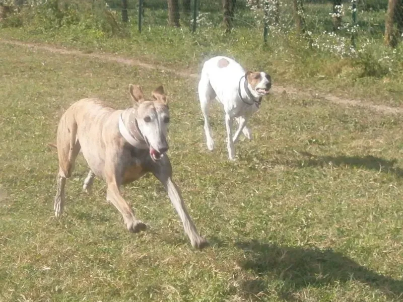 10626369 277269989134457 7823873337281888663 o