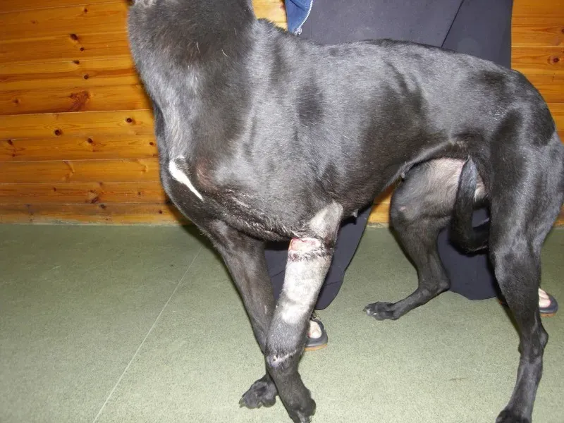 10626372 702681106468498 1776891258674750500 o