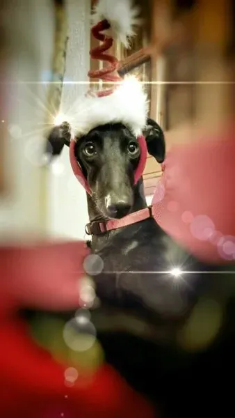 10626530 10153843104582840 7272887539357968198 n