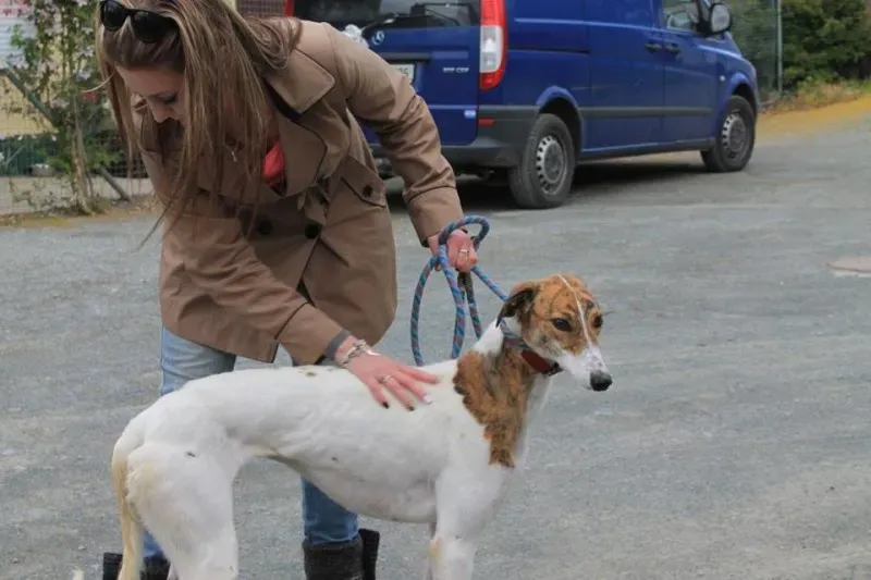 10626885 1014947801856252 2810850875461411135 n