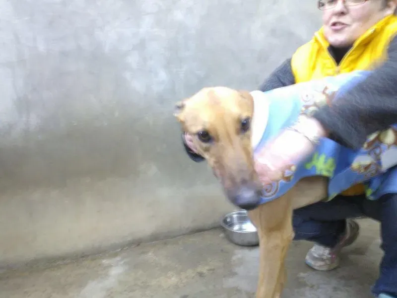 10628256 735161356567722 4565118082885270719 n