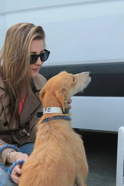 10628500 1014947185189647 7050396599186116289 n