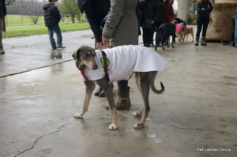 10628501 737312989685892 665846889971133812 n