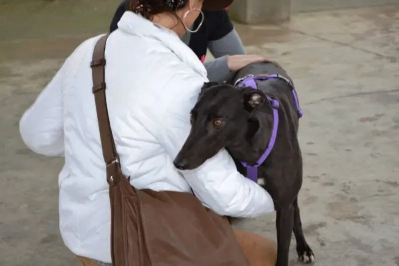 10628520 737243689692822 2777619870060253460 n