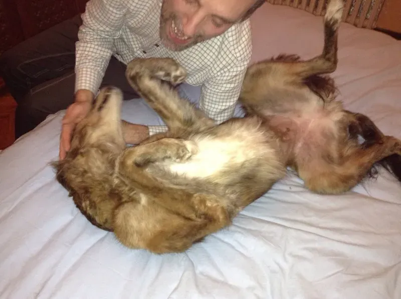 10630647 1517982201791951 3077967617670662321 o