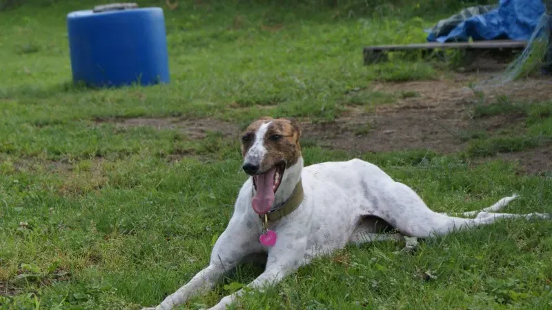 10631290 277270449134411 2809128011431040337 o