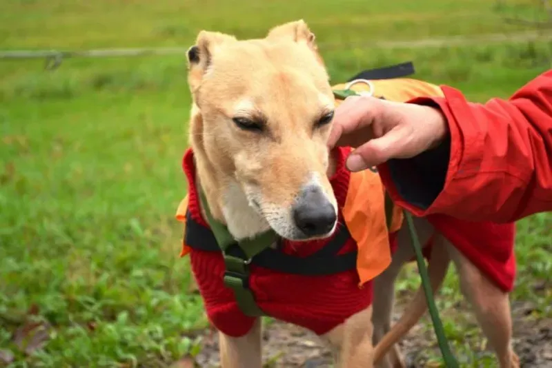 10632771 737244693026055 926596805709901424 n