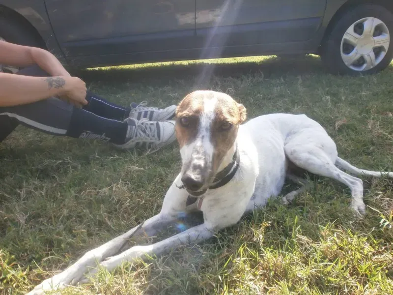 10633493 277270412467748 2532108117090994925 o