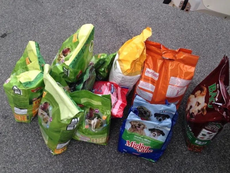 10634446 853528477998541 1493837577 n