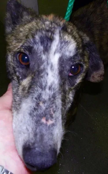 10635913 872283272789373 5350057032224214930 n