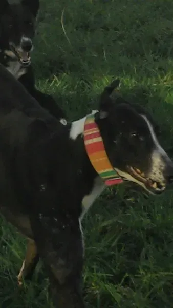 10636274 10204258116386641 2673804005801140037 n