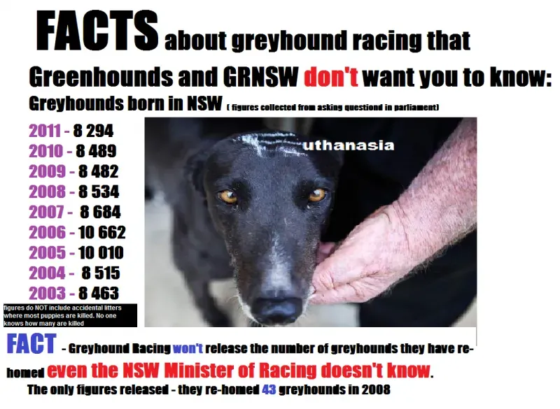 1063700 606419119392668 1742559881 o