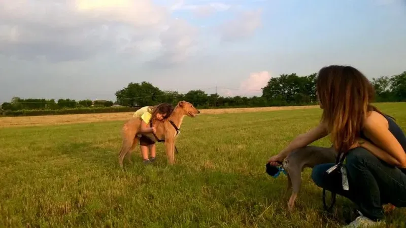 10639700 850861278338810 6817786365460680096 n