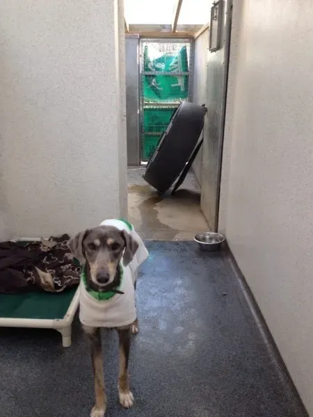 10639735 735224093228115 5382142844309515255 n