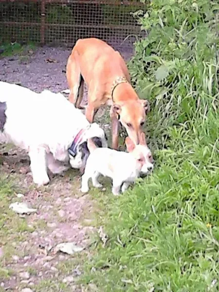 10641084 10153402383956255 3751735517728014314 n