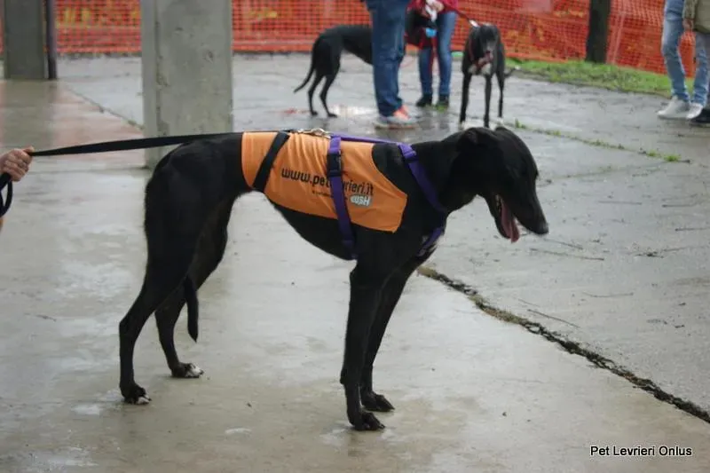 10641136 737315429685648 9044701787244714917 n