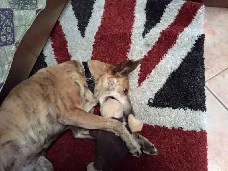 10641142 977330532285001 8043189238868317282 n