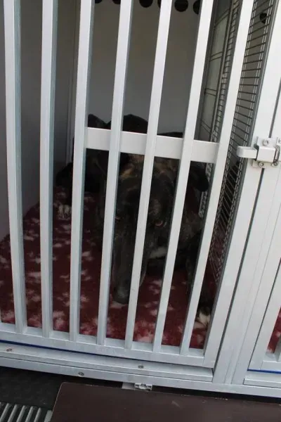 10641155 1014949648522734 537096702305265718 n