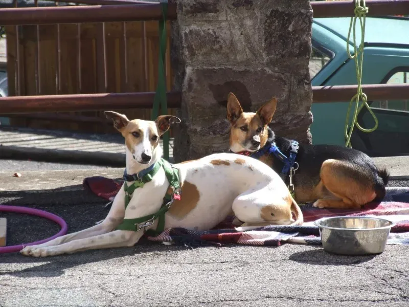 10644645 10204013131519953 3818740280328510105 o