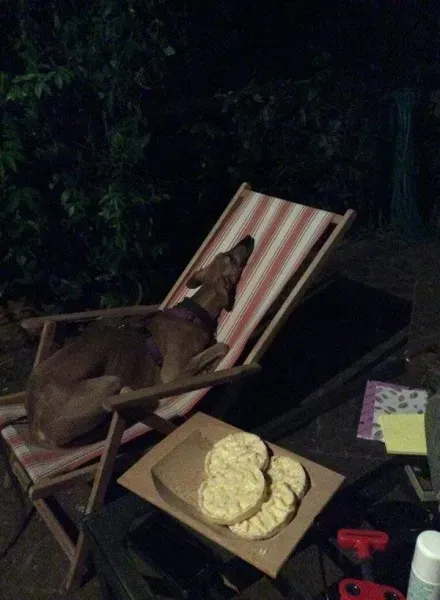 10645102 735090319915907 4687593344910488415 n