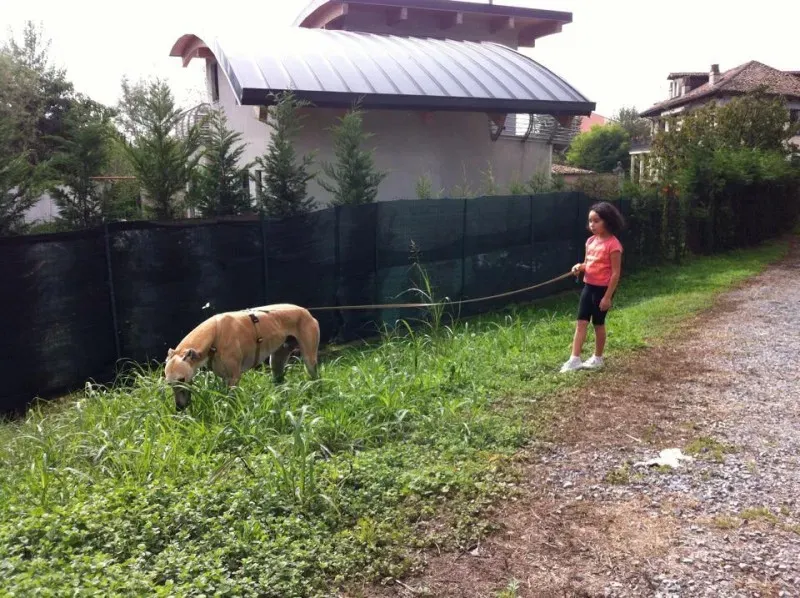 10645275 359807310842655 2641768378859158741 n