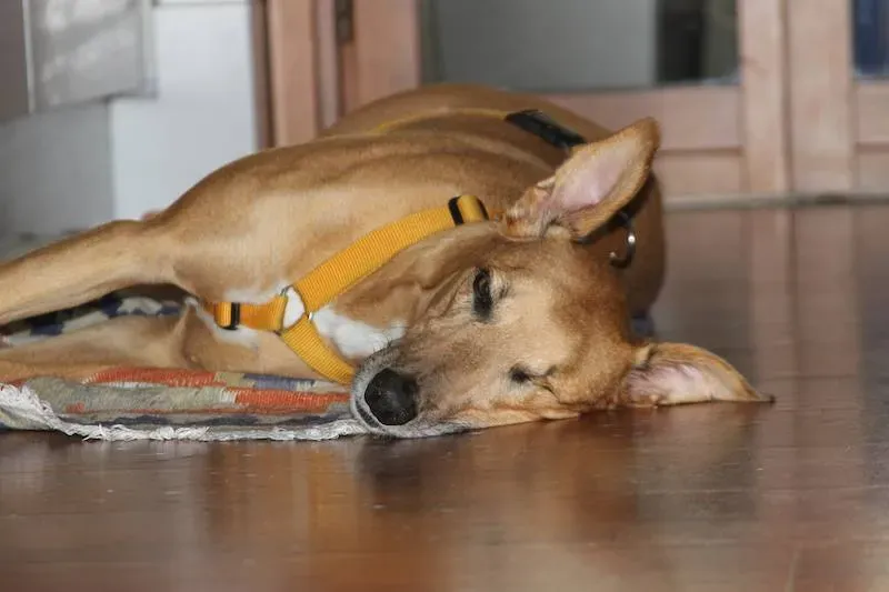 10646634 708082495942275 7363028263271650429 n