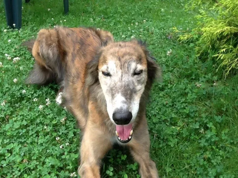 10647108 1517983748458463 2197091775577272229 n