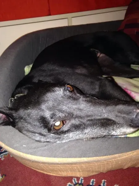 10647149 861732760511446 5069125077310796127 n