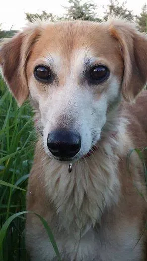 10647713 10202439901785731 1083582548 n